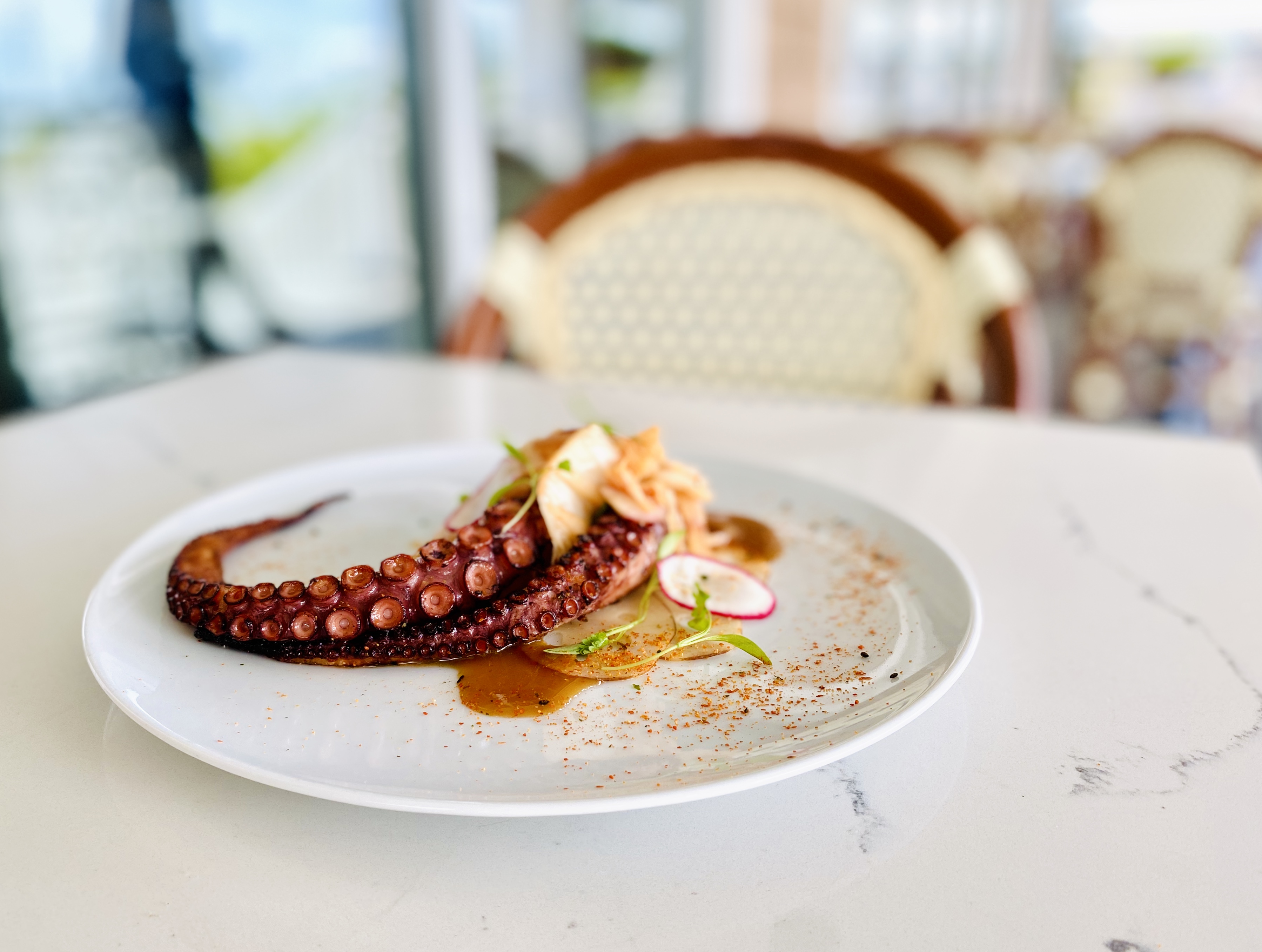 A plated dish of octopus with sauce and vegetables on a white marble countertop.